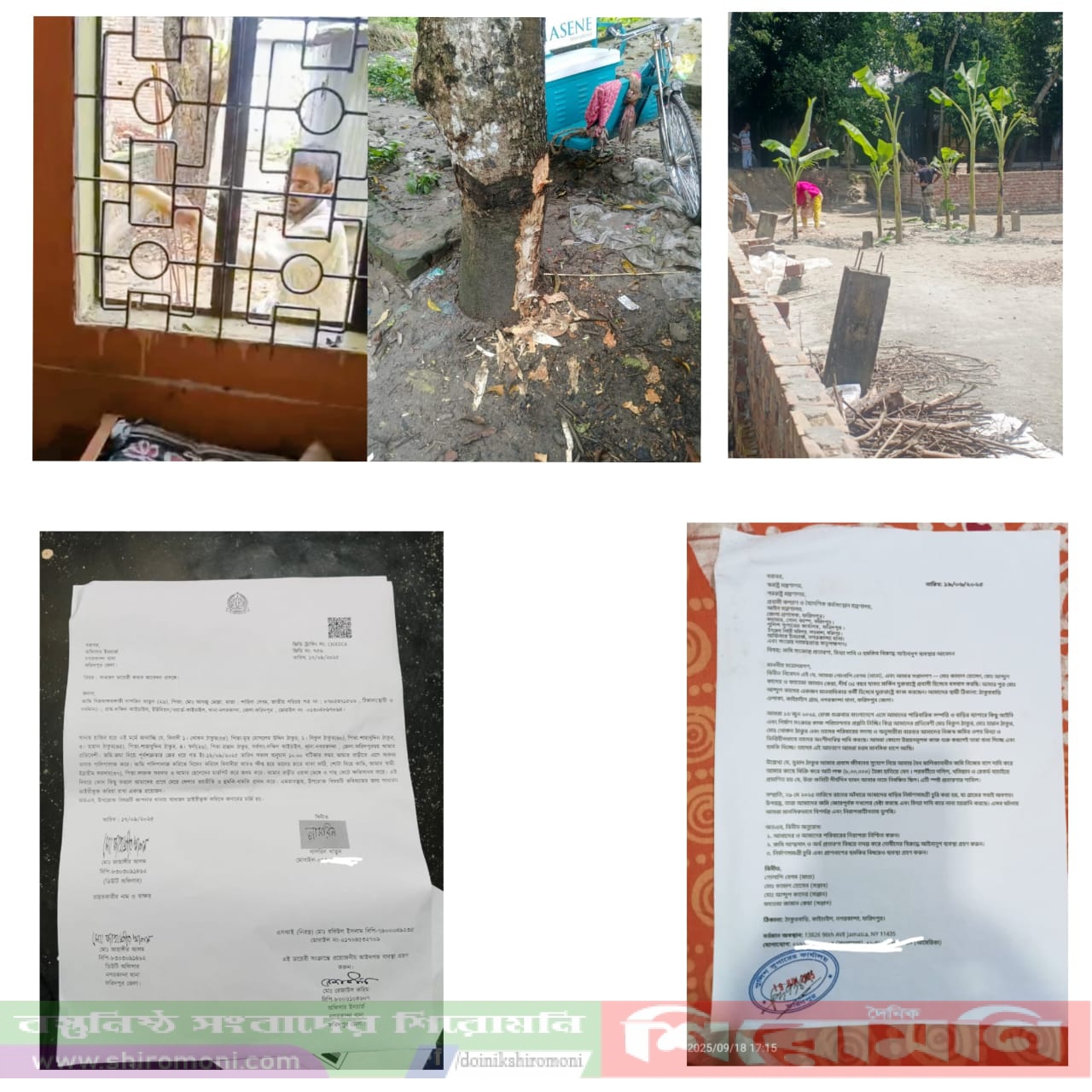 ভূমিদস্যু মুরাদ ঠাকুরের বিরুদ্ধে প্রবাসী গোলাপি বেগমের বাড়ি দখলের অভিযোগ