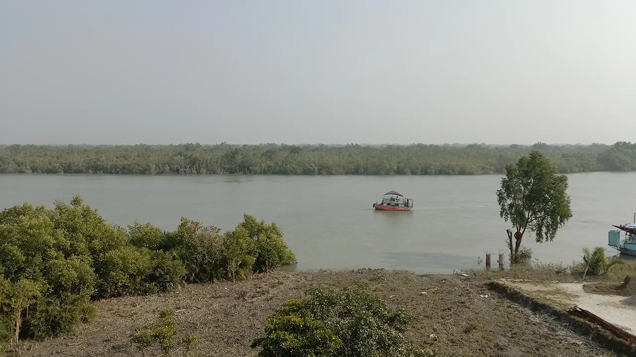 অপহরণের ঘটনায় বনের জীবিকা হয়ে উঠেছে ঝুঁকিপূর্ণ