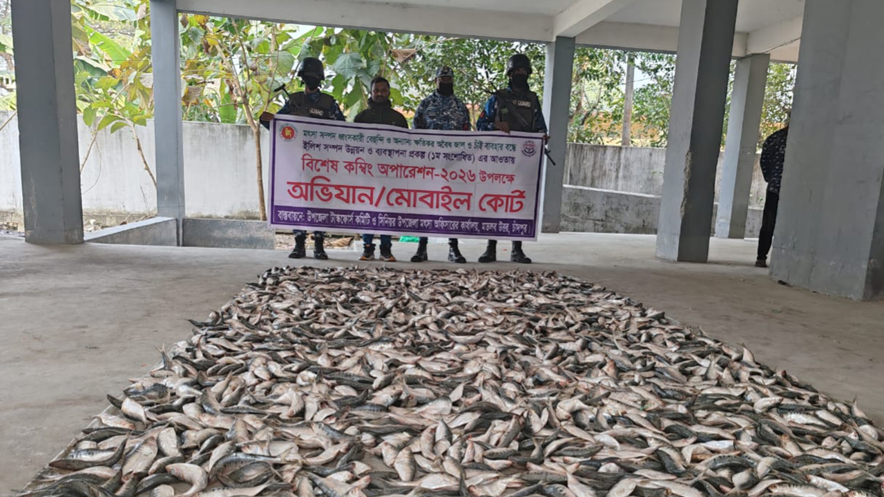 চাঁদপুরের মতলব উত্তর থেকে ২১ মণ জাটকা উদ্ধার