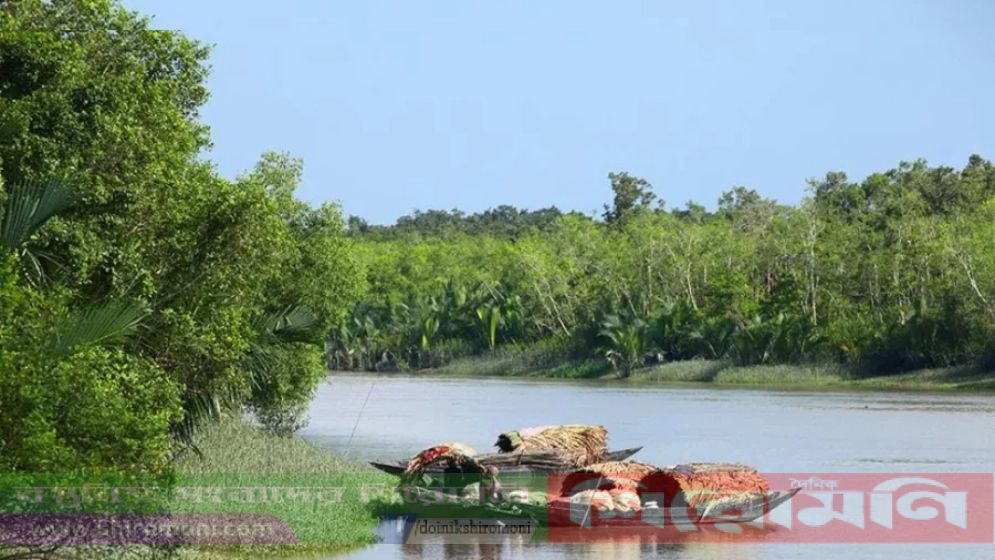 সুন্দরবনের সাতক্ষীরা রেঞ্জ থেকে ২০ জেলেকে অপহরণ