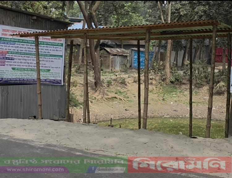 নবীনগরে রাজনৈতিক ছত্রছায়ায় জমি দখলের অভিযোগ