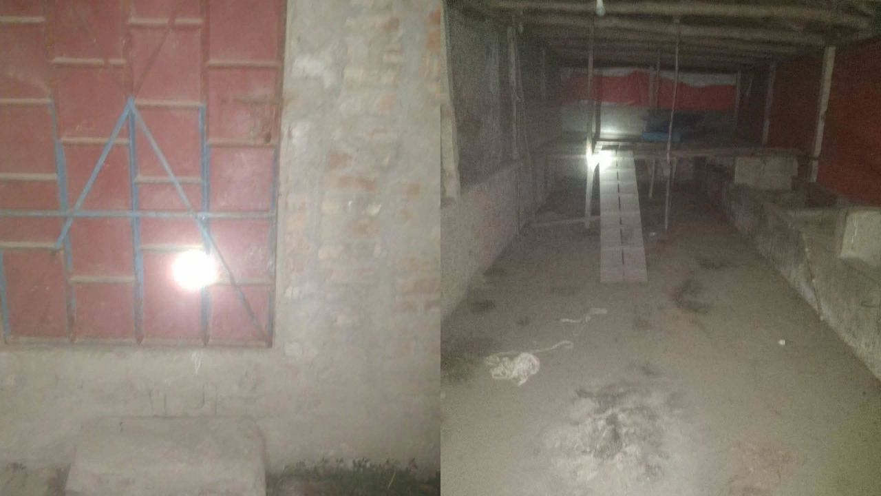 চট্টগ্রাম মিরসরাইয়ে জামায়াত নেতার খামার থেকে ৪০টি ছাগল লুট