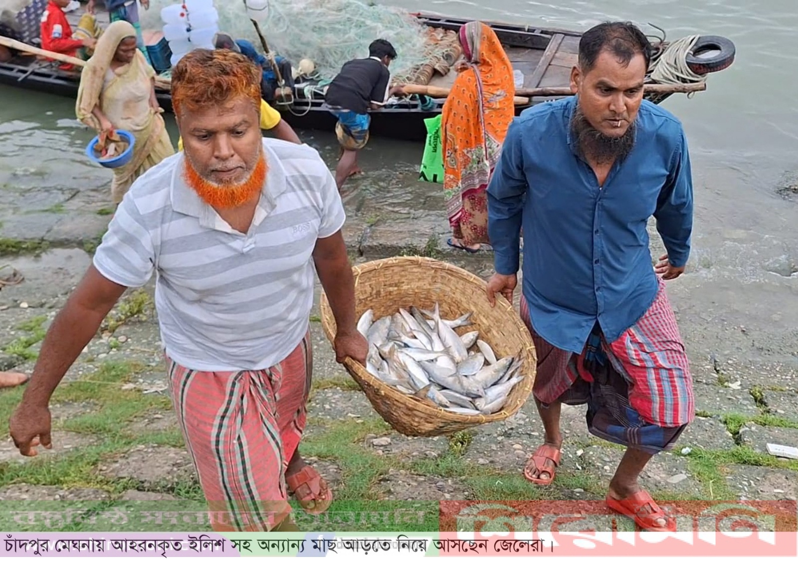 নিষেধাজ্ঞা শেষ: পদ্মা-মেঘনায় আশানরুপ মিলছেনা ইলিশ